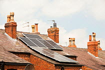 Solar panels on an old Victorian terrace house roof in Macclesfield, Cheshire, UK. May 2012