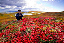 Inuit child on the tundra at the mouth of the Sepentine river near Shishmaref, Alaska, USA. September 2004