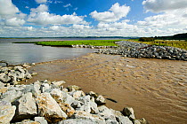 The Breach at Alkborough. This is a break in the sea defences flooding farmland to creating 150 hectares of wetland protecting urban Humber Estuary, Eastern England, UK August 2008