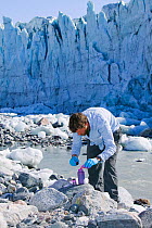 Scientist using dye tracing techniques as part of a study to measure the speed of the Russell Glacier near Kangerlussuag Greenland. July 2008