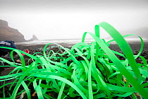 Plastic debris washed ashore from the sea at Talisker Bay on the Isle of Skye, Scotland, UK. February 2012