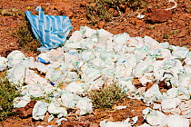 Disposable nappies thrown away on the outskirts of the Berber village of Tamazight near Jebel Sirwa,  Anti Atlas mountains of Morocco, North Africa.  April 2012