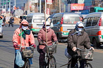 Road sweepers wear  face masks against the air pollution in Suihua city in Northern China.March 2009