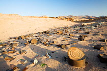 Tin cans discarded in the mountains of the Sinai desert near Dahab, Egypt. October 2008