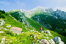 Woman walking above the mountain village of Sotres, Picos de Europa National Park, northern Spain. June 2005