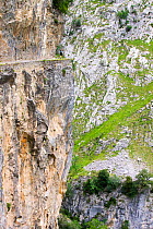 Cares Gorge, Picos de Europa, northern Spain. June 2005