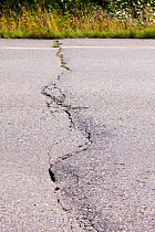 Road in Fairbanks, Alaska collapsing into the ground due to global warming induced permafrost melt. Alaska, USA. August 2004