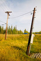 Electric pylons in Fairbanks, Alaska collapsing into the ground due to global warming induced permafrost melt. Alaska, USA. August 2004