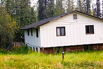 House in Fairbanks, Alaska collapsing into the ground due to global warming induced permafrost melt. Alaska, USA, August 2004