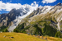 Rapidly receding Brenva Glacier in the Mont Blanc range, Italy, with cyclists. August 2014