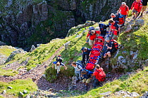 Members of Langdale Ambleside Mountain Rescue Team carrying an injured walker from the fells in Langdale, Cumbria, England, UK. August 2007