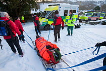Paramedics and Mountain Rescue team members evacuate an injured walker who had fallen and injured his back, Langdale Valley, Lake District, England, UK. January 2010