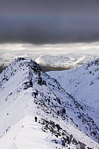 Winter climber ascends An Garbhanach,  Mamore hills Scotland, UK. March 2004