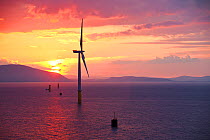 The Walney offshore windfarm at sunrise, Barrow in Furness, Cumbria, UK. July 2011.