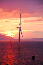 The Walney offshore windfarm at sunrise, Barrow in Furness, Cumbria, UK. July 2011.