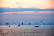 Boats working on the construction of the Walney offshore windfarm at dawn, Cumbria, UK. July 2011