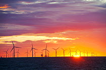 The Walney Offshore windfarm project, at sunset. Off Barrow in Furness, Cumbria, UK, July 2011