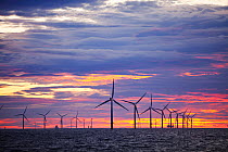 The Walney Offshore windfarm project, off Barrow in Furness, Cumbria, UK, at sunset. July 2011