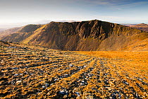 Stone stripes on Coniston Old Man in the Lake district, UK. These patterned ground features are caused by freeze thaw cycles which heaves the larger stones into lines down slope. January 2012