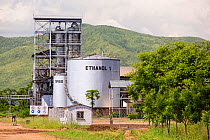 Ethanol plant at Chikwawa in the Shire Valley, Malawi, March.