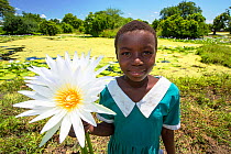 A girl picking Water lillies growing on marshland in the Shire valley near Bangula, Malawi, March 2015.