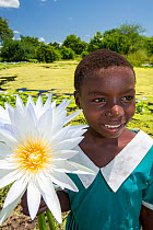 A girl picking Water lillies growing on marshland in the Shire valley near Bangula, Malawi, March 2015.
