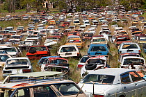 Flynns wrecking yard with cars going back to the 1920's, near Cooma in New South Wales, Australia. February 2010.