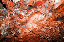 Kidney ore of haematite at Florence haematite mine near Egremont West Cumbria, England, UK, July.