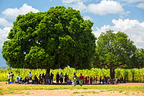 People displaced by the January 2015 floods sheltering from the heat of the sun under a tree in Baani refugee camp, Phalombe, Malawi.