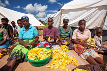 People displaced by the January 2015 flooding, preparing pumpkin flowers to eat, in Baani refugee camp near Phalombe, Malawi, March 2015.