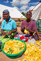 People displaced by the January 2015 flooding, preparing pumpkin flowers to eat, in Baani refugee camp near Phalombe, Malawi, March 2015.