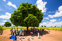 People displaced by the January 2015 floods sheltering from the heat of the sun under a tree in Baani refugee camp, Phalombe, Malawi.