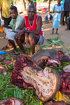 Malawians butchering a Hippopotamus (Hippopotamus amphibius) near Chikwawa, Malawi. March 2015.