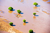 Flood waters and farmland destroyed  after the January 2015 flooding, Malawi, March 2015.