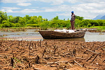 Boat ferrying food supplies across flooded farmland near Mulanje, with maize crops destroyed by the floods in the foreground. Malawi, March 2015.