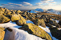 Lichen covered rocks on Swirl Howe, looking towards Dow Crag and Coniston Old Man. Above Wrynose, Lake District, Cumbria, England, UK, February 2013.
