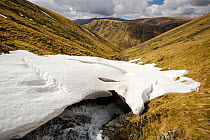 Raise Beck above Dunmail Raise, with large snow drift, Lake District, England, UK, April.