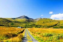 An isolated house beneath Ben More on Mull, Scotland, UK. August.