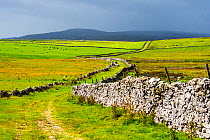 Mastiles Lane, an ancient green lane and drover's road in the Yorkshire Dales, England, UK. August 2014.