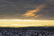Looking towards the Lake District hills from Hartside in the North Pennines, England, UK, January.