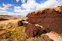 Peat hags near Loadpot Hill above Ullswater in the Lake District, UK. Peat bogs are a great carbon sink, as the sequestrate large amounts of carbon. They are also great natural sponges that are import...