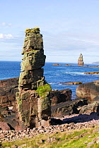 Am Buachaille sea stack on the coast south of Sandwood Bay Scotland, UK, September 2006.