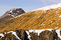 Ben Nevis from Aonach Beag, Scottish highlands, Scotland, UK, May 2005.
