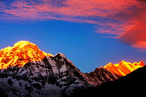 Alpenglow at sunrise on Annapurna South and Annapurna Fang, Nepal. December 2012.