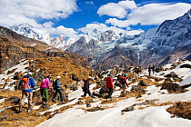 Trekkers at Annapurna base camp at 4130 metres looking towards Machapuchare, Annapurna Sanctuary, Himalayas, Nepal. December 2012.