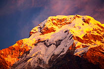 Alpenglow at sunrise on Annapurna South, Nepelese Himalayas.