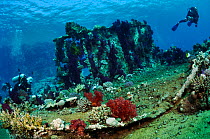 Wreckage colonised by soft corals, stony corals, and fire coral, with divers Jolande wreck, Ras Mohammed National Park, Egypt, Red Sea.