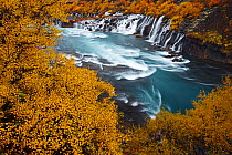 Hraunfossar waterfall in autumn, Iceland, September 2013.