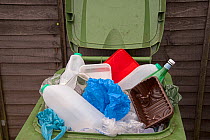 Waste plastic in green recycling bin. Surrey, England, UK. December.