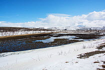Thawing lake and emerging marsh habitat from the frozen tundra landscape. Whooper Swan (Cygnus cygnus) breeding habitat. Borselvfjellet, Finnmark, Norway, June.